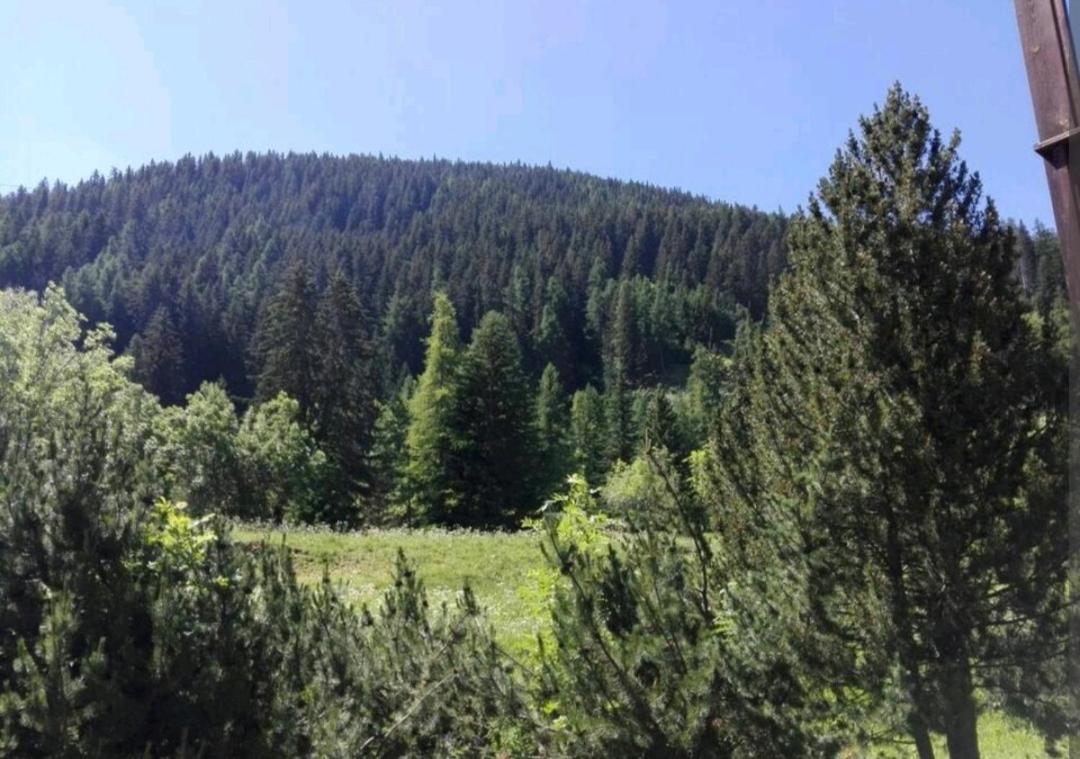 La Casa Di Olivia - Direttamente Sulle Piste Διαμέρισμα La Thuile Εξωτερικό φωτογραφία